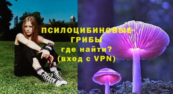 мяу мяу мука Белоозёрский