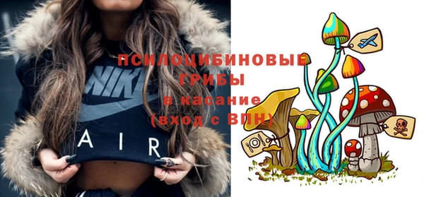 ешки Алапаевск