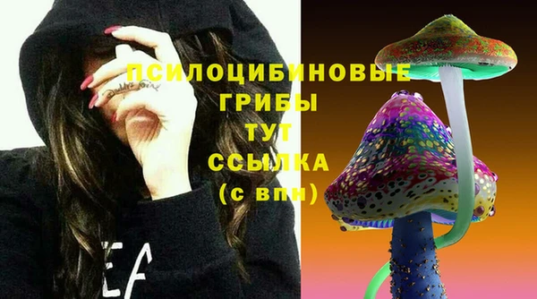мяу мяу мука Белоозёрский