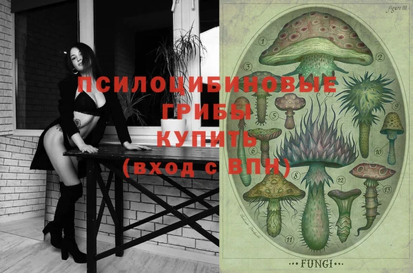 ПСИЛОЦИБИНОВЫЕ ГРИБЫ Бугульма