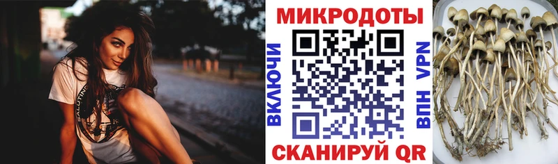Галлюциногенные грибы Psilocybine cubensis  mega ССЫЛКА  Бахчисарай  цены  